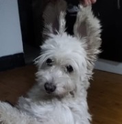 PRINCESA