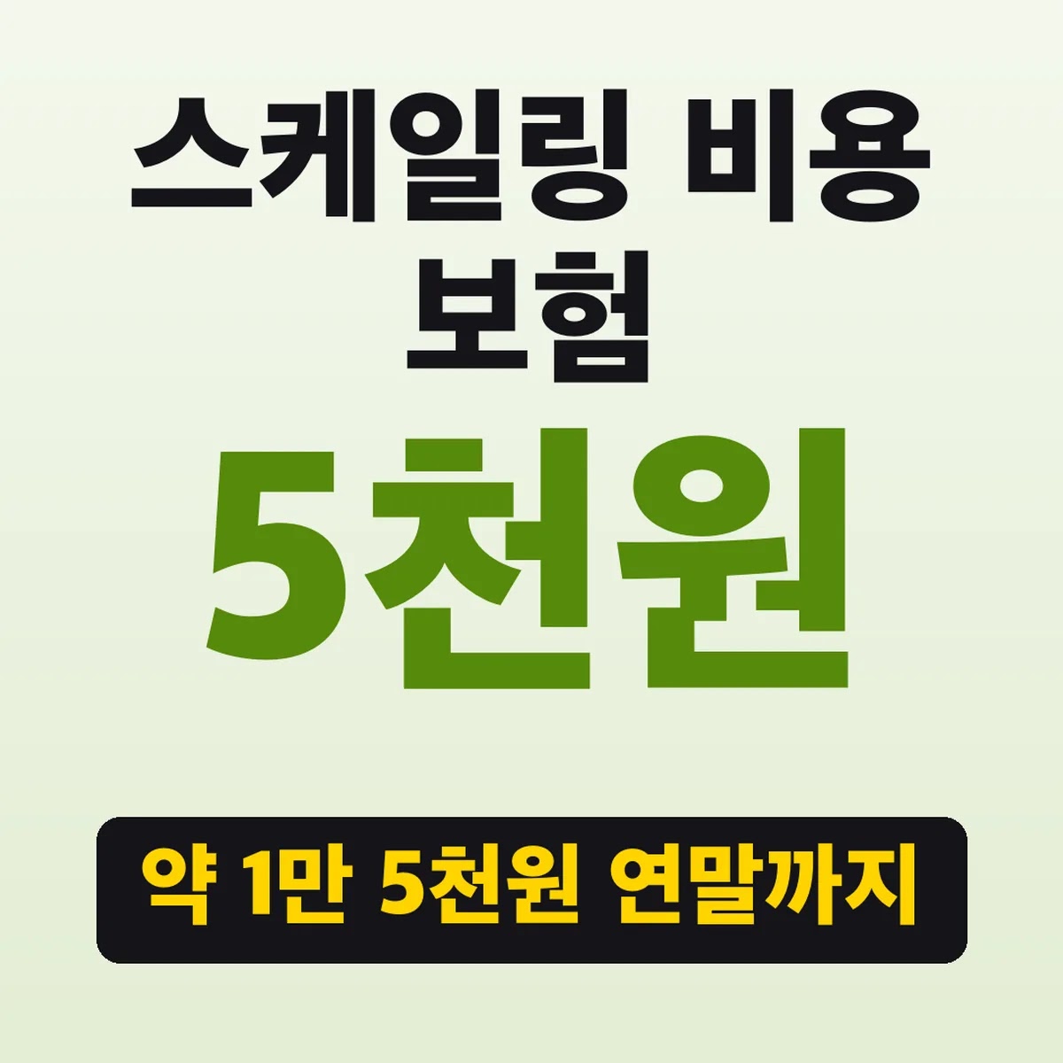 스케일링 비용 보험, 약 1만 5천원 연말까지