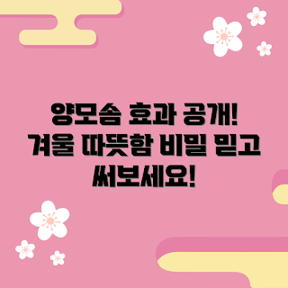 양모솜, 겨울 따뜻함, 초보자 추천, 양모솜 효과, 겨울철 필수 아이템