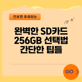 최고의 sd카드256, sd카드 용량 선택, 2023 최신 sd카드, 가성비 sd카드, sd카드 추천