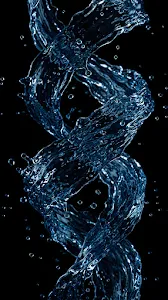 Hummingbird Resting on Tree Branch