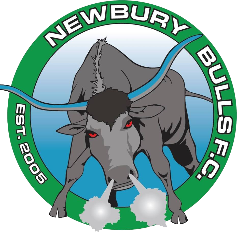 Newbury Bulls logo
