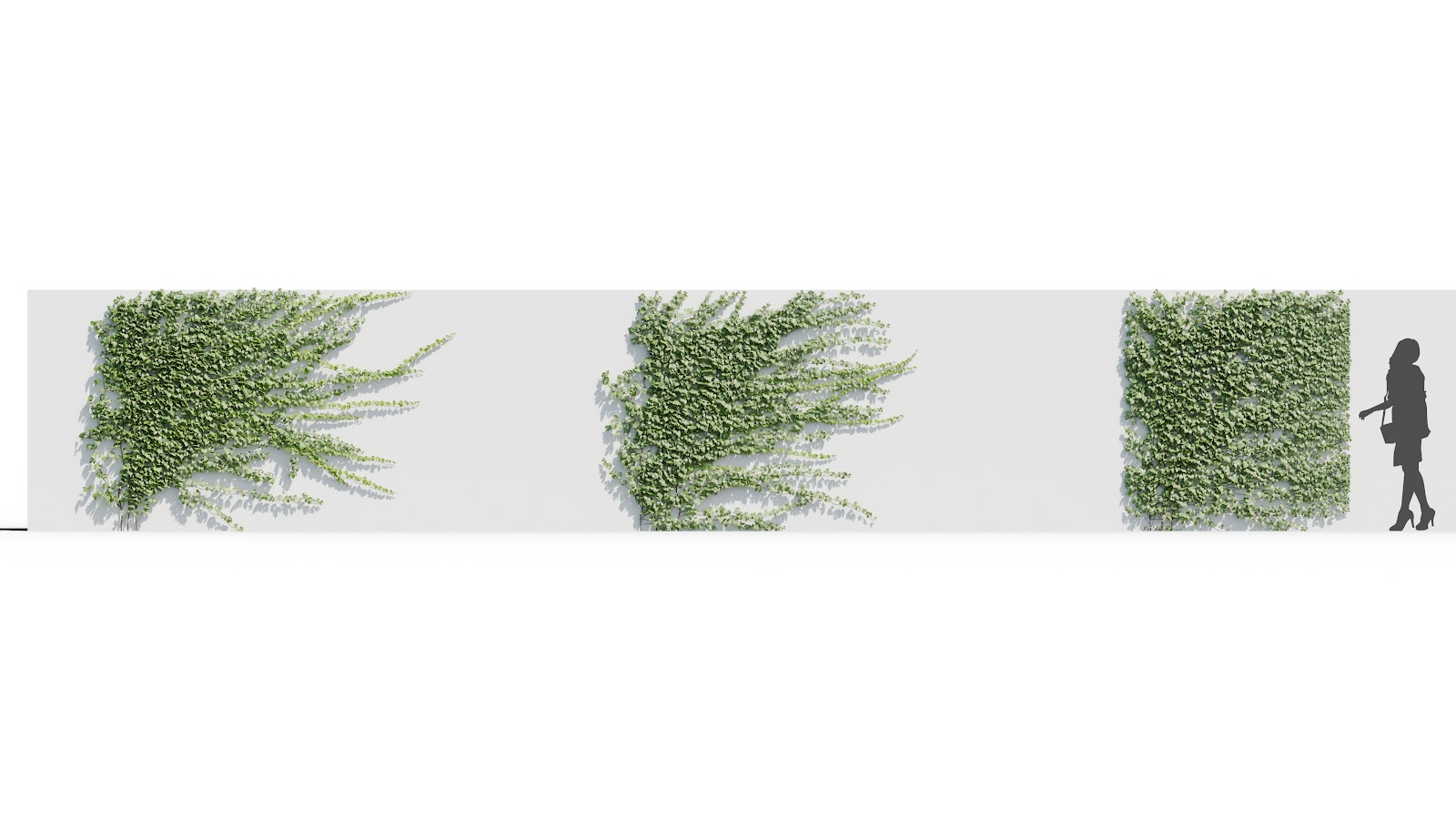 Maxtree - Plant Models Vol.37