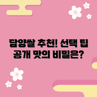 대숲맑은담양쌀, 담양 쌀, 쌀 선택 방법, 국산 쌀 추천, 담양 특산물
