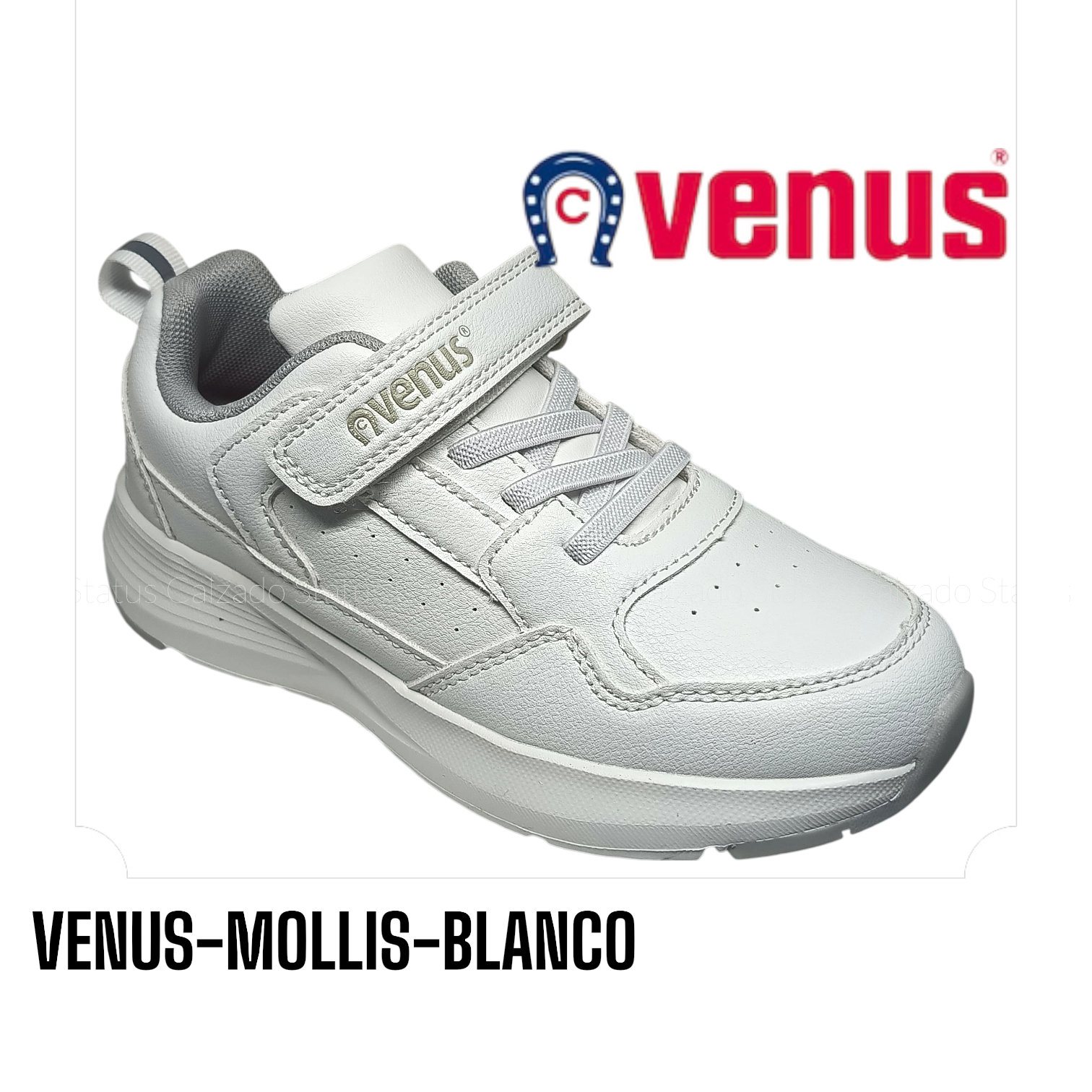VENUS-MOLLIS-BLANCO
