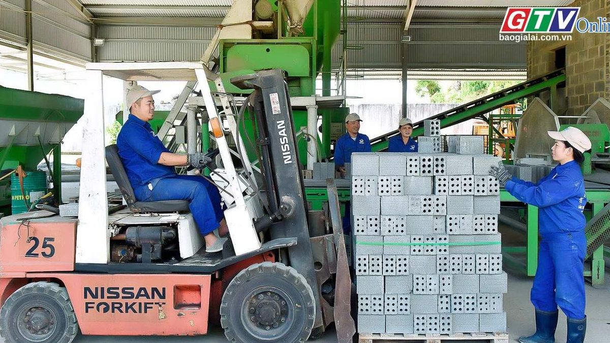 Toàn cảnh Gia Lai 24h: Quyết liệt thực hiện các giải pháp tăng trưởng trong những tháng cuối năm - Báo Gia Lai