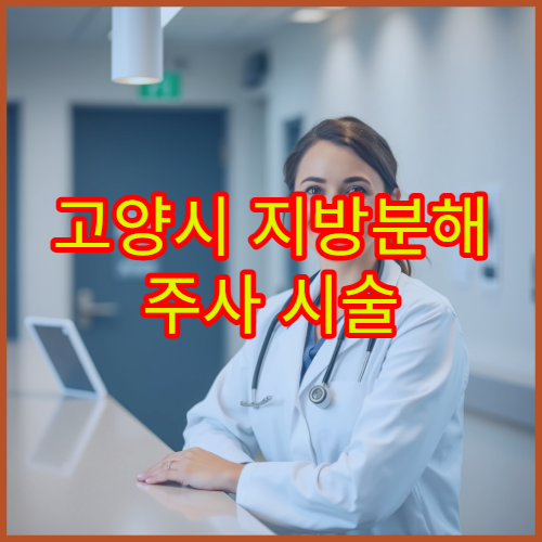 고양시 지방분해 주사 시술 전 상담부터 시술 후 관리까지 가능한 병원