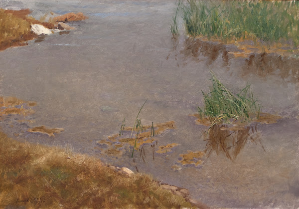 Shallow Water 1906