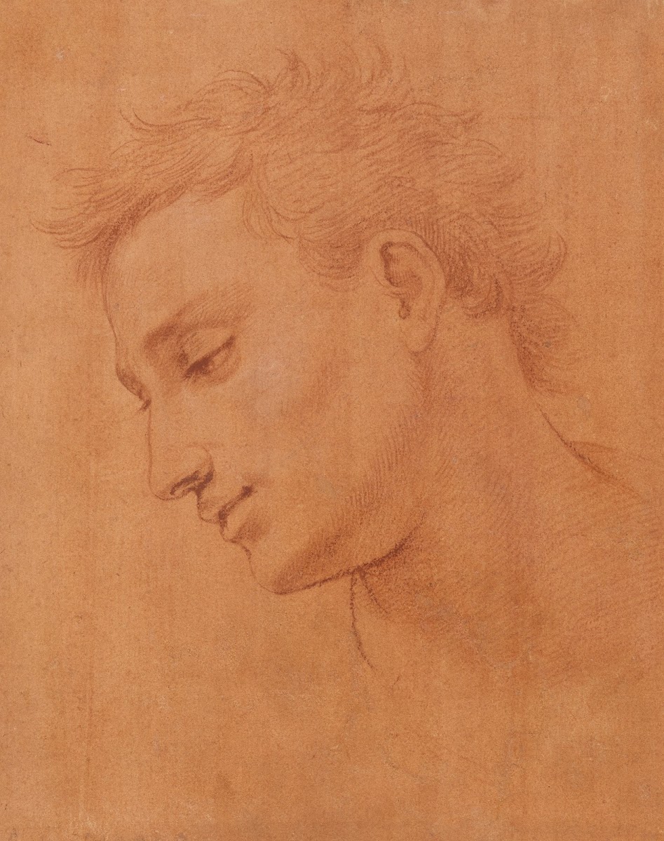 Head of Man in Profile to the Left 15711572