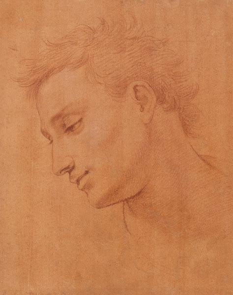 Head of Man in Profile to the Left 15711572