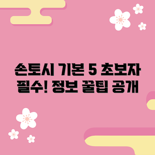 손토시 정보, 손토시 초보 가이드, 손토시 기초 지식, 손토시 팁, 손토시 이해하기