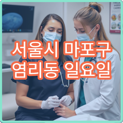 서울시 마포구 염리동 일요일 피부과 가려움 피부염 치료