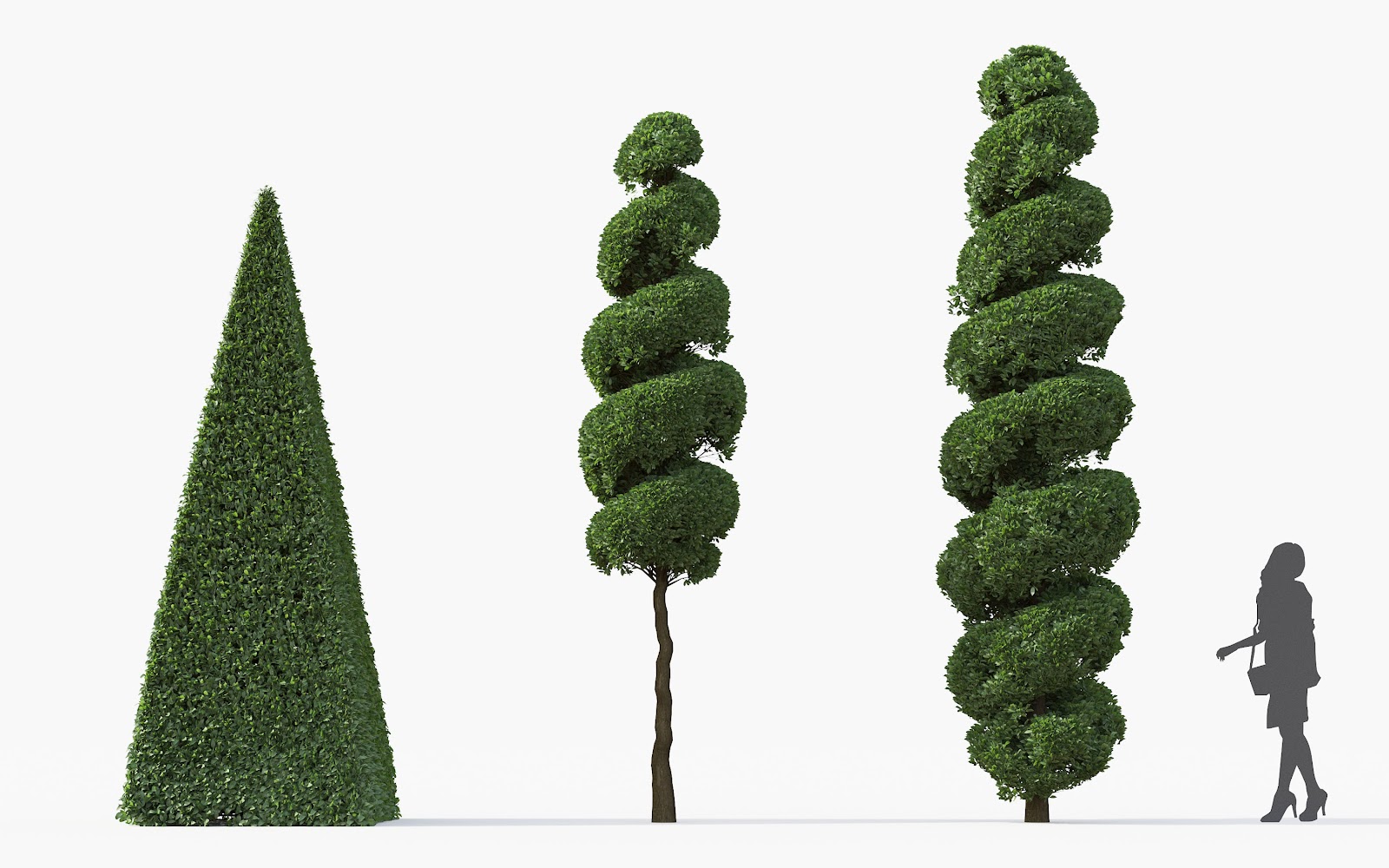 Maxtree - Plant Models Vol.28