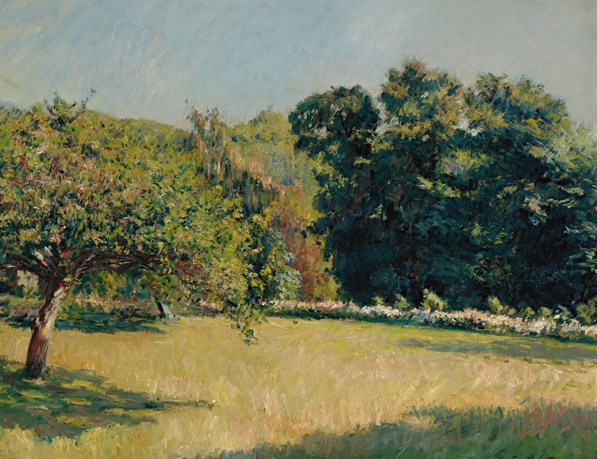 Un JardinÀ Trouville 1882
