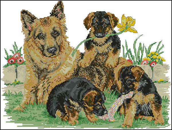 CMP PCE808 Germain Shepherd Family