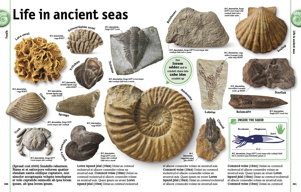 Our World in Pictures: The Rock and Gem Book — gambar 6