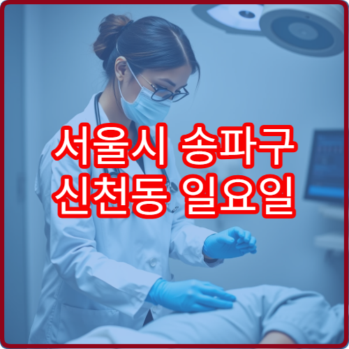 서울시 송파구 신천동 일요일 치과 진료 병원 응급 진료