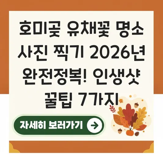 호미곶 유채꽃 명소 사진 찍기