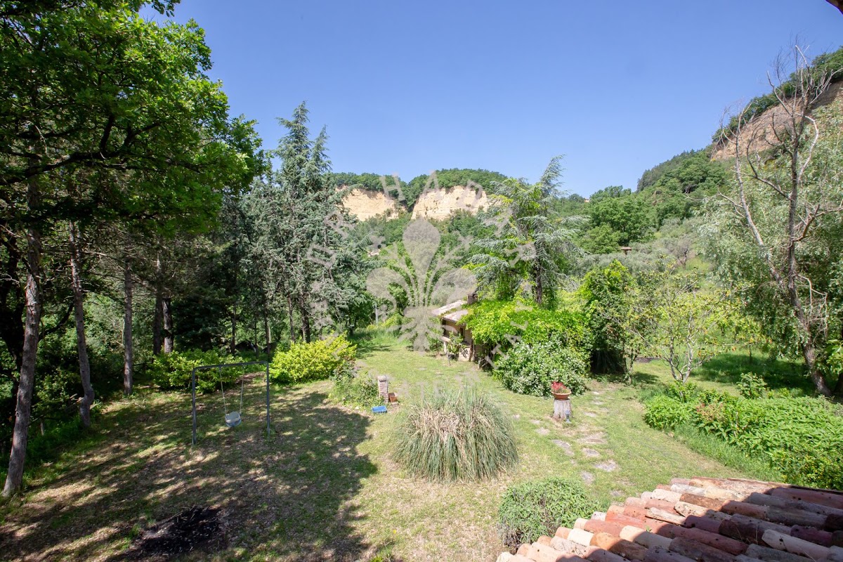 הבית מאחורי הגבעה (Il Casale dietro la Collina) — 15