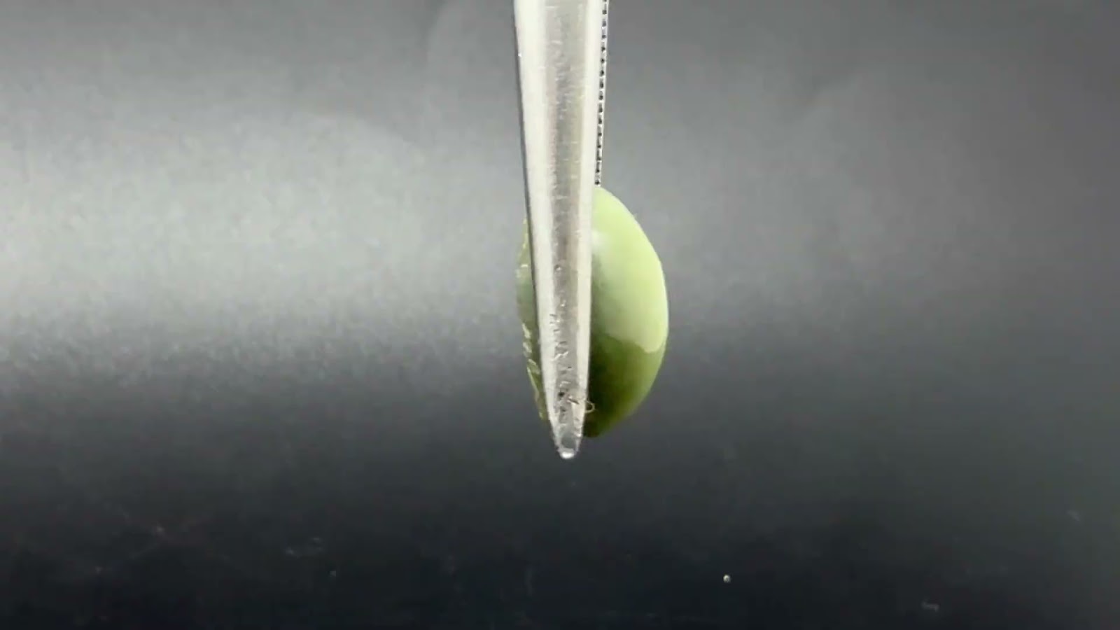 Natural Quartz Cat’s Eye