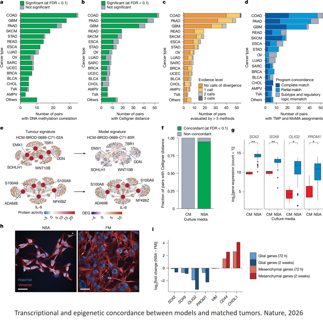 A compendium of next-generation patient-derived models for diverse cancers
