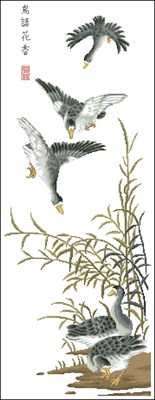CMP 360463 Pattern