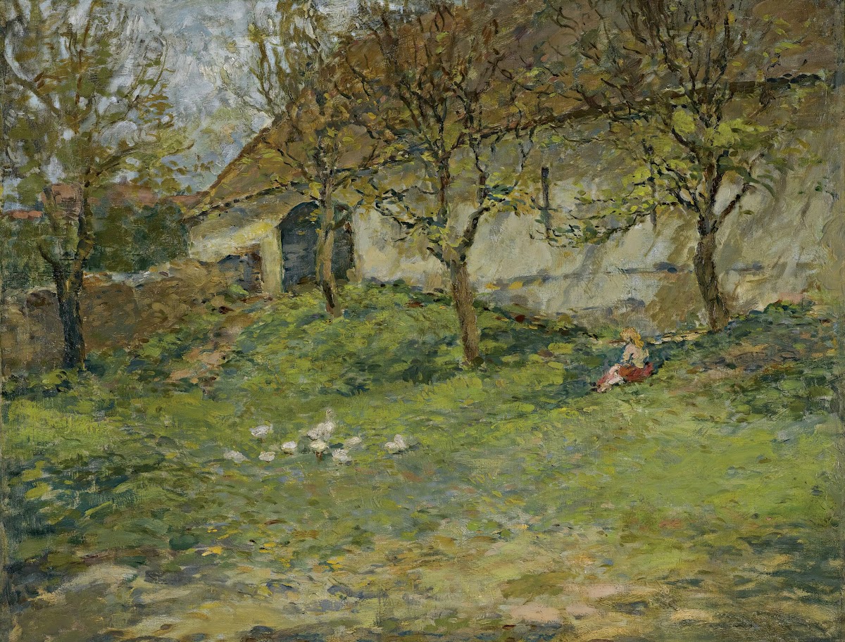 Landscape