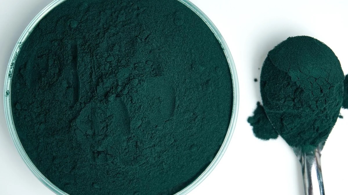 건강기능식품 성분 비교 기준과 선택법