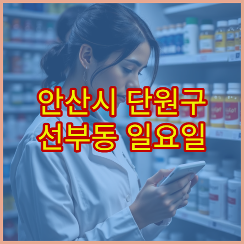 안산시 단원구 선부동 일요일 약국 운영 정보 및 당번약국 위치 안내