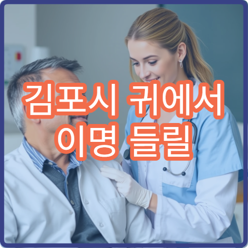 김포시 귀에서 이명 들릴 때 검사 가능한 병원