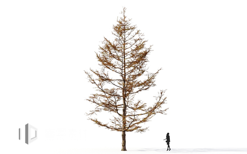 Maxtree - Plant Models Vol.9