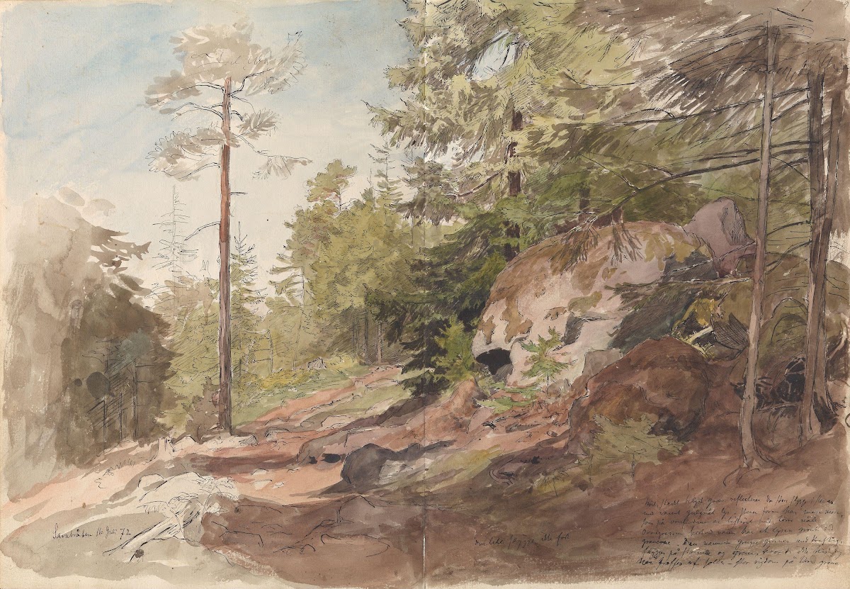 Skogsinteriør Sarabråten 1872