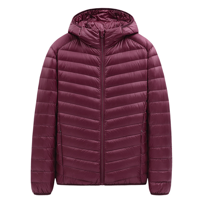 Lightweight men's down jacket with stand-up collar, 90% duck down