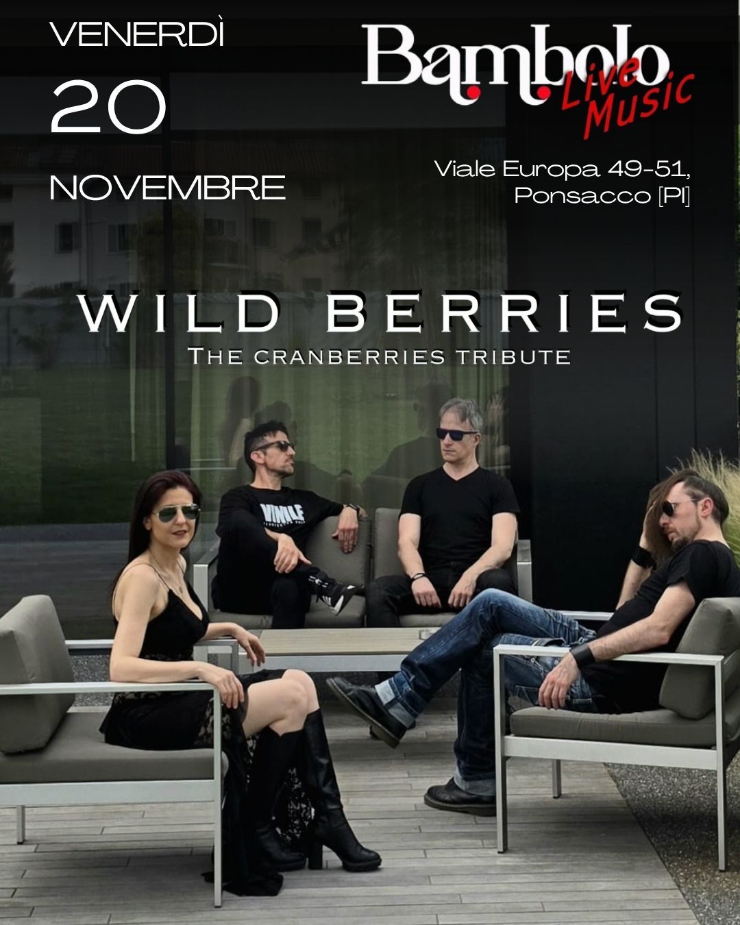 Wild Berries - The Cranberries Tribute 