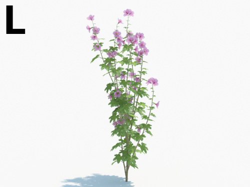 Maxtree - Plant Models Vol.3