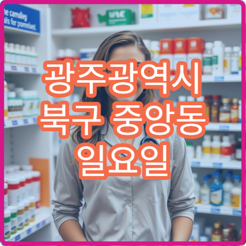 광주광역시 북구 중앙동 일요일 영업 약국 위장약 구입