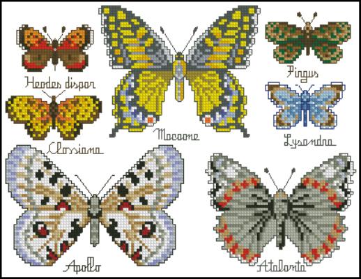 CMP 130190 Butterfly Panel