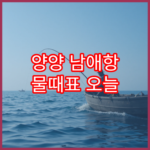양양 남애항 물때표 오늘 기준 동해 바다타임과 조수간만 정보