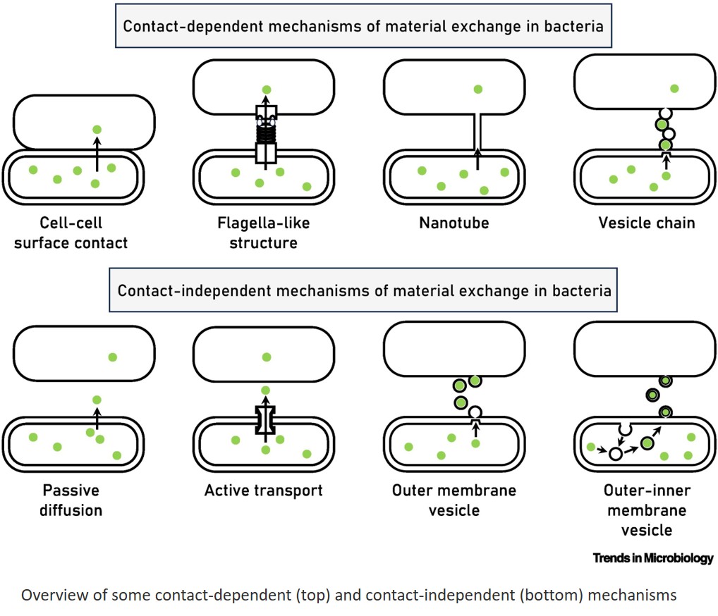 Cognition without brains? Learning and memory in microorganisms