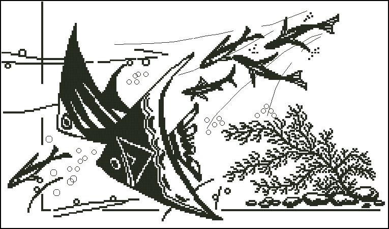 CMP 160164 Fish