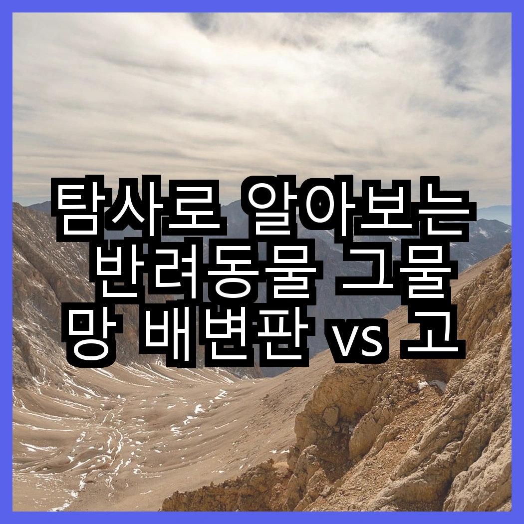 탐사로 알아보는 반려동물 그물망 배변판 vs 고흡수 든든패드 레몬향, 어떤 선택이 더 좋을까요? 썸네일