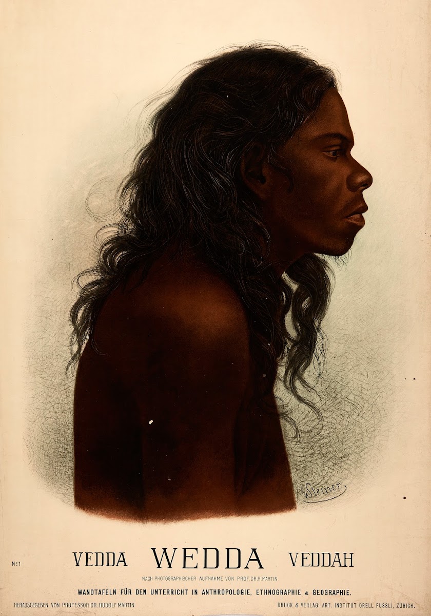 Veddah 1905