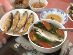 Đây là bữa cơm đầy đủ nhà mình, canh ngót cá đối, cá đối chiên xù chấm mắm ớt. Cá canh thì chấm kèm nước mắm sống, cá chiên thì chấm mắm tỏi ớt. Chúc cả nhà ngon miệng.