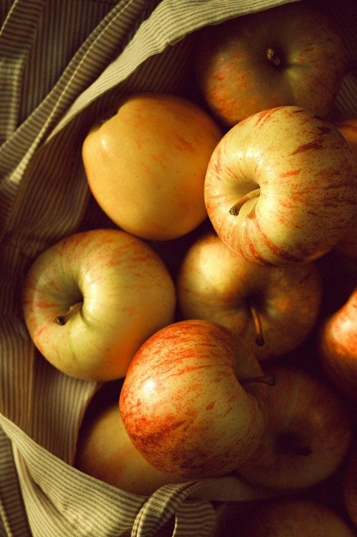 간수치 ALT와 AST 상승 원인별 맞춤 식품과 관리법