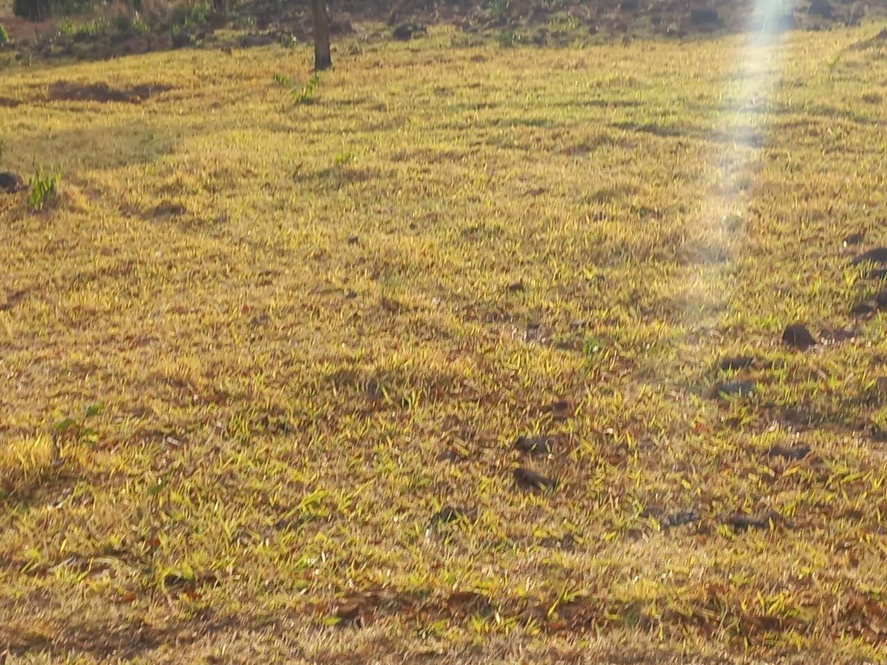Fazenda em Niquelândia-GO 9
