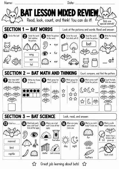Bat Lesson Mixed Review Worksheet