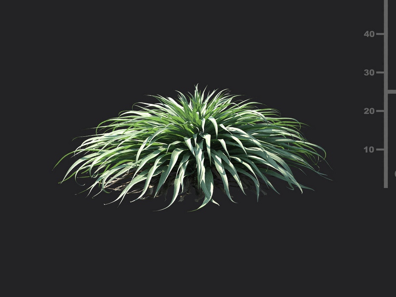 Maxtree - Plant Models Vol.115