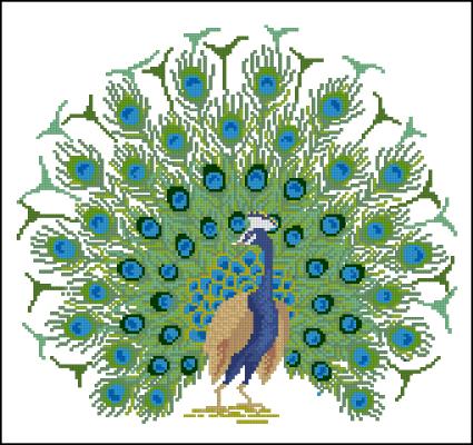 CMP 360256 Pattern