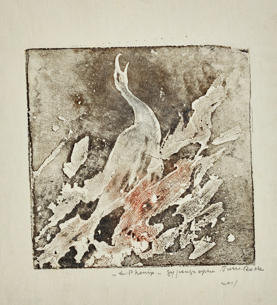 Phénix 1896