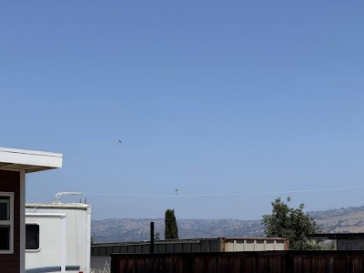 IMG_9881.HEIC